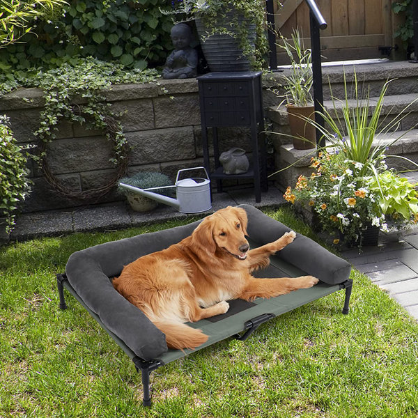 Tucker Murphy Pet™ Outdoor Elevated Dog Bed Hammock With Removable